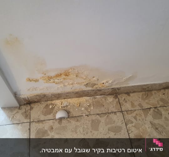 כתמי רטיבות ועובש על קיר פנימי
